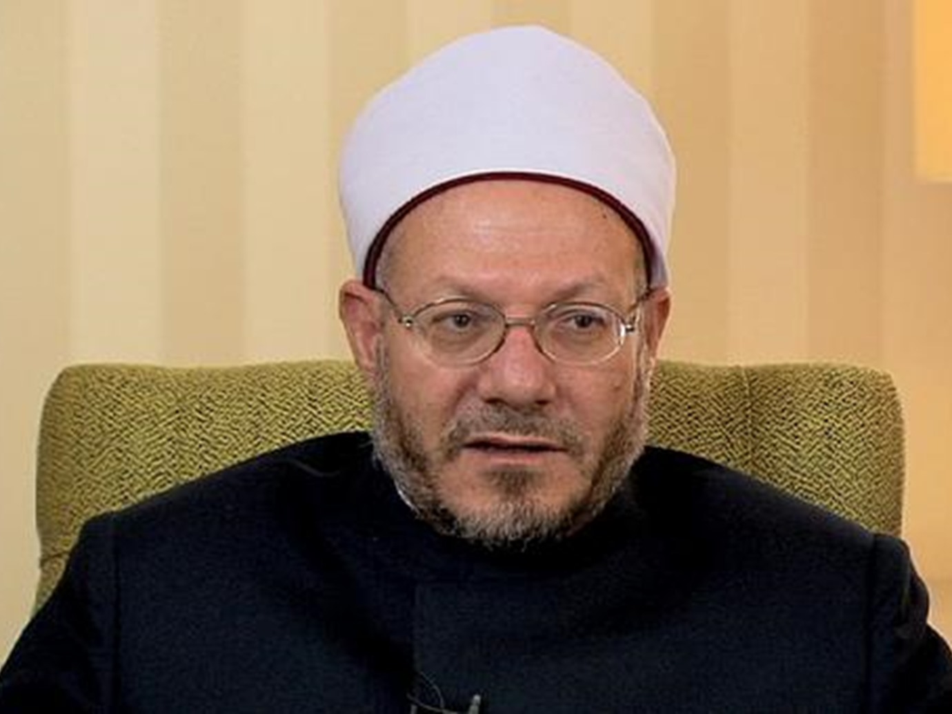 شوقي علام