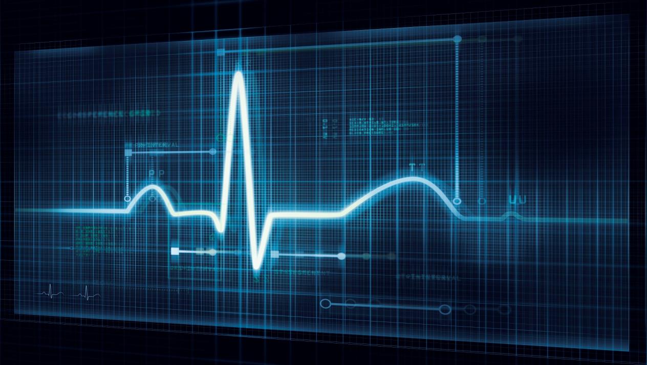 ضربات القلب له علاقة بمتوسط العمر 
