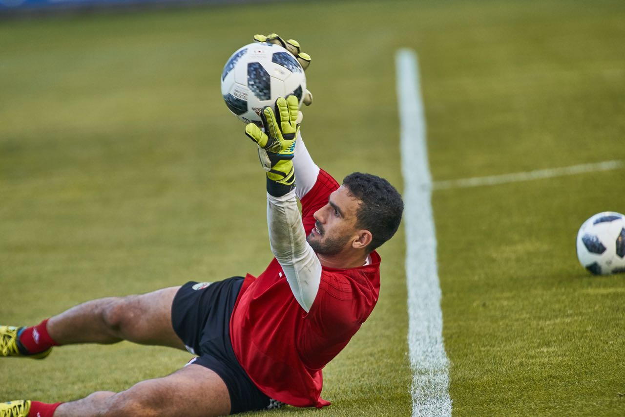 محمد عواد