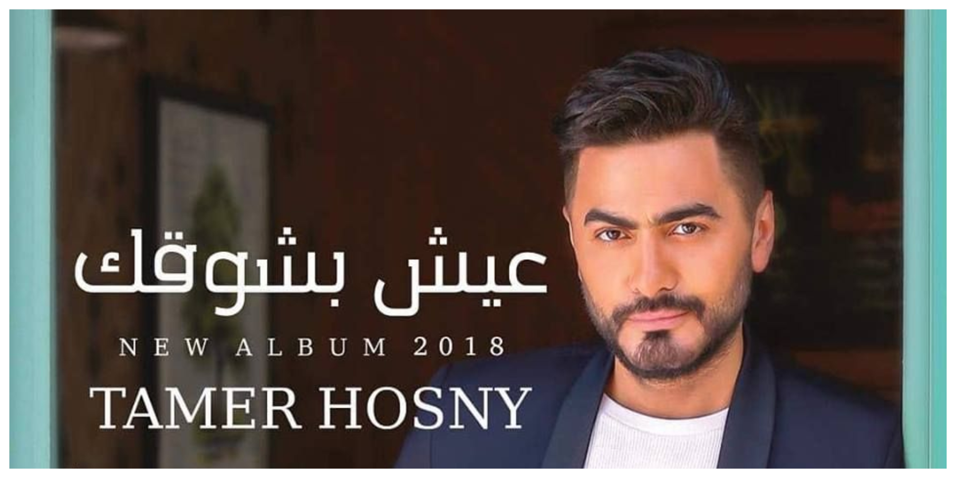 تامر حسنى