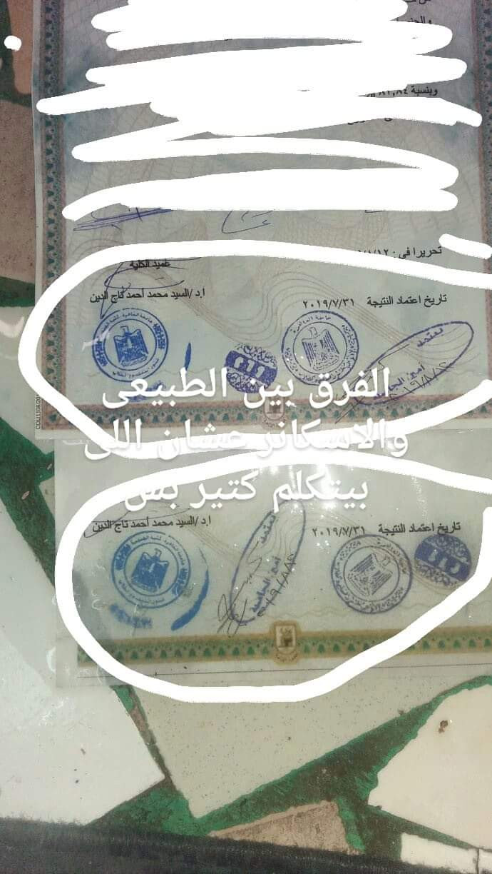 شهادات مزورة