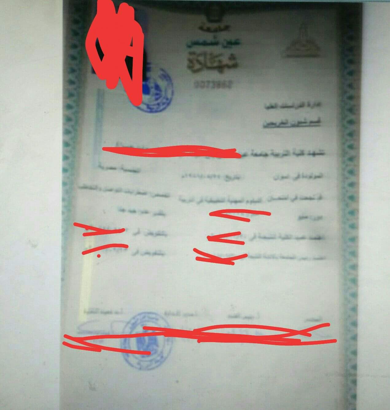 شهادات مزورة