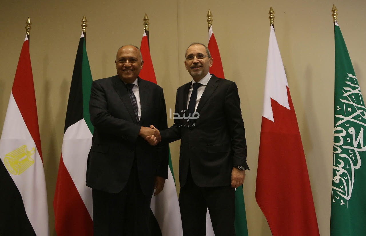 جانب من اللقاء التشاورى