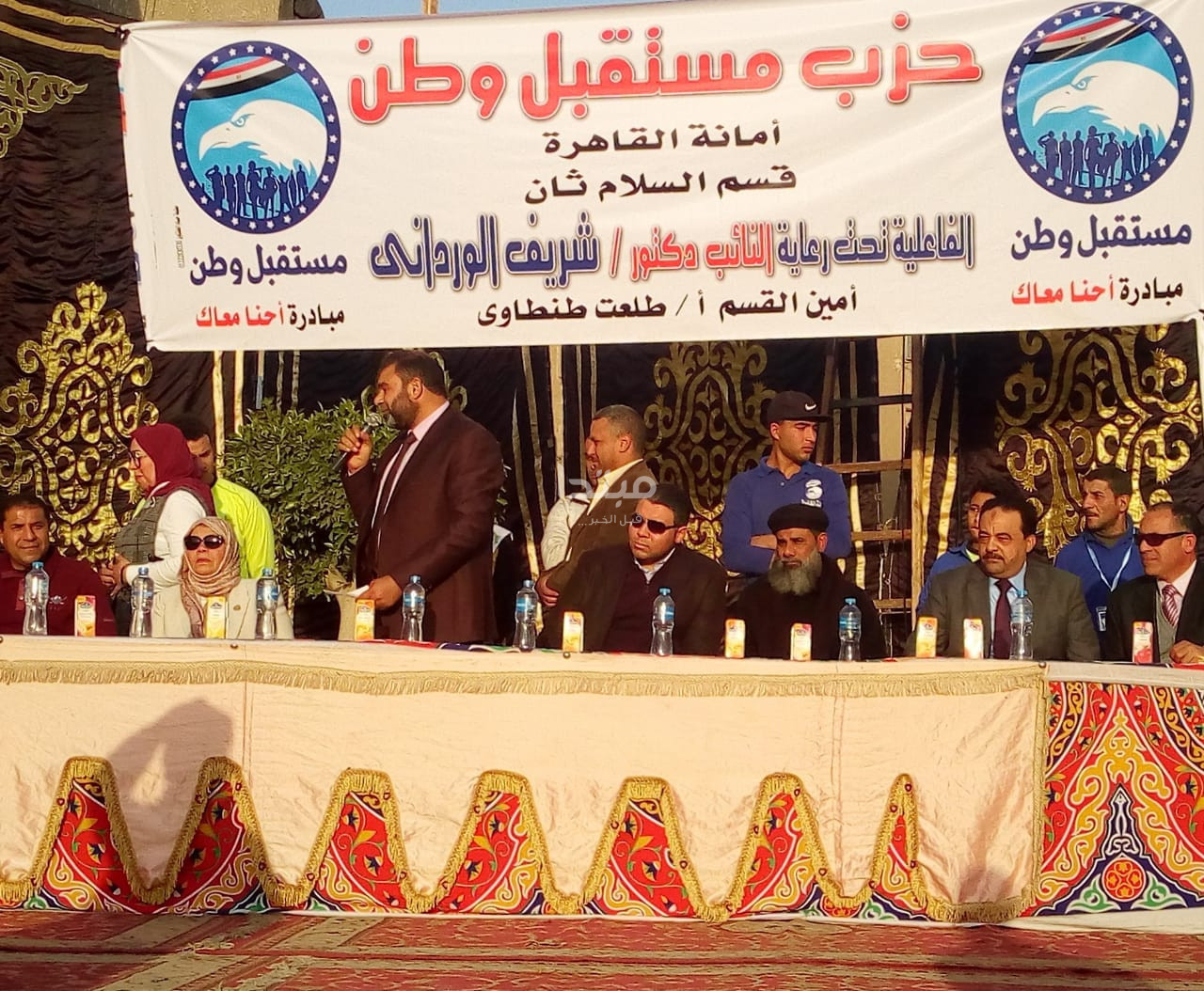 أنشطة حزب مستقبل وطن