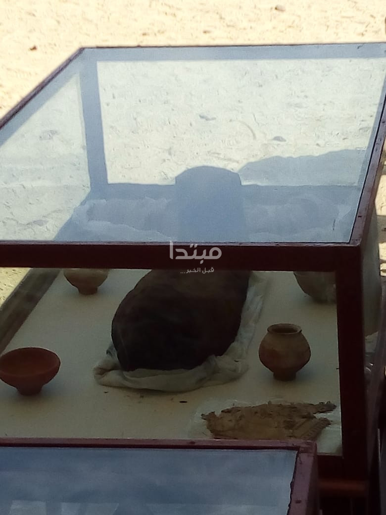 اكتشافات تونا الجبل