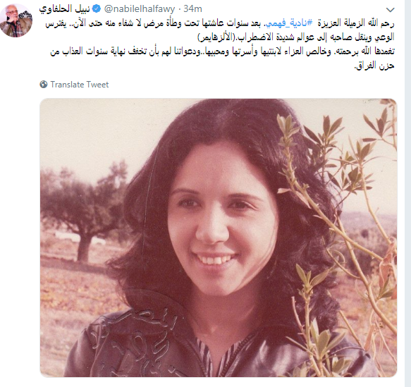 نبيل الحلفاوى
