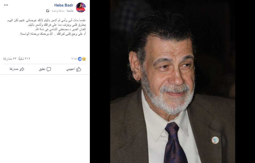 مصطفى الشامى