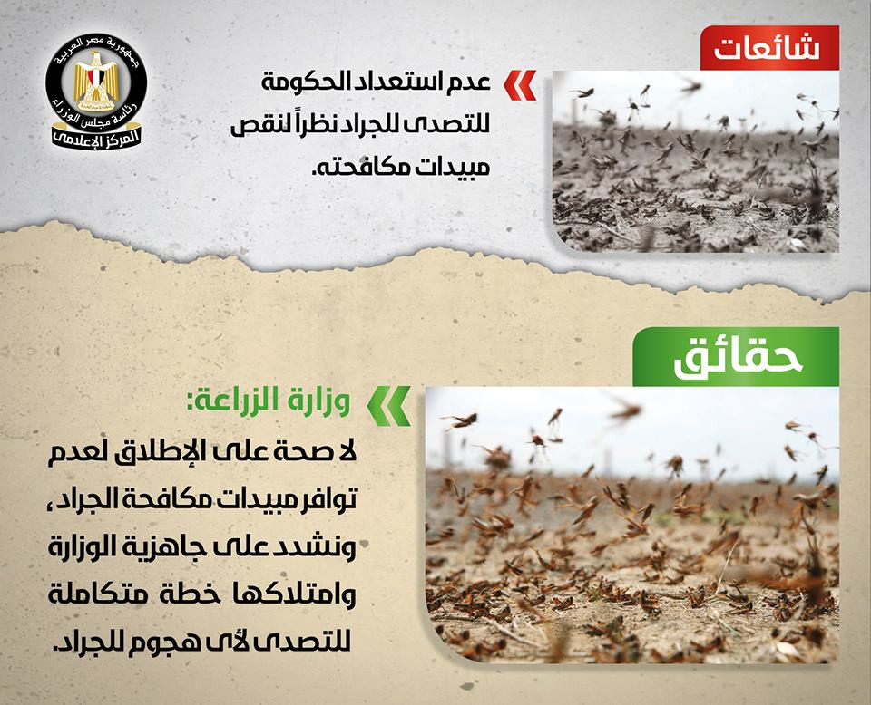 شائعات ينفيها مجلس الوزراء