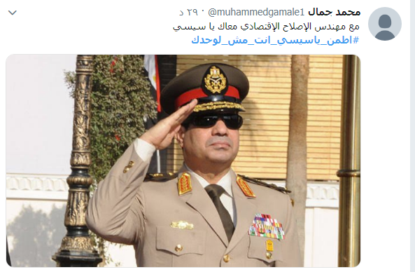 رواد تويتر يعلنون دعمهم للسيسى
