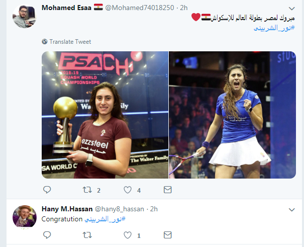 نور الشربينى
