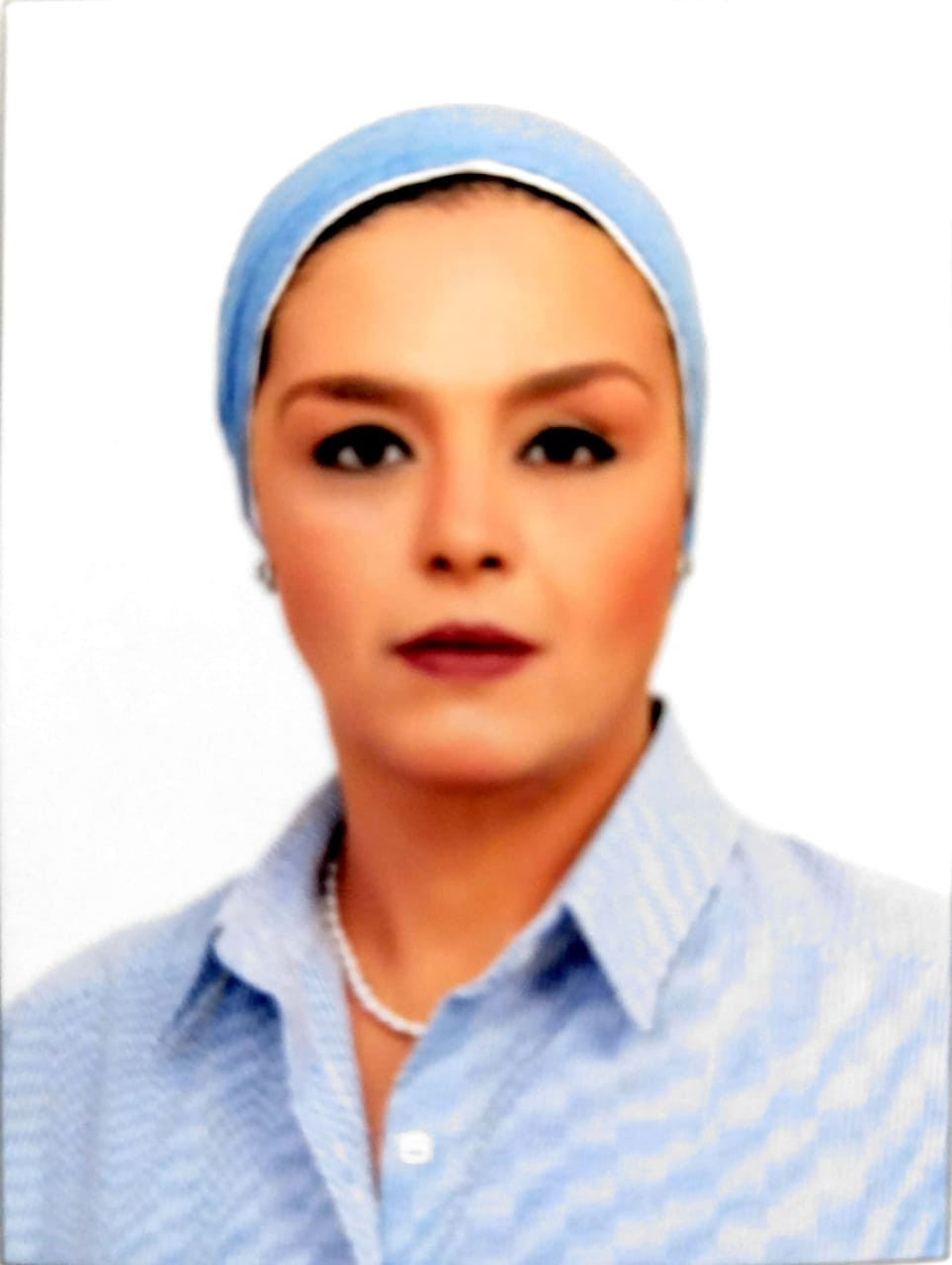 مدارس النيل