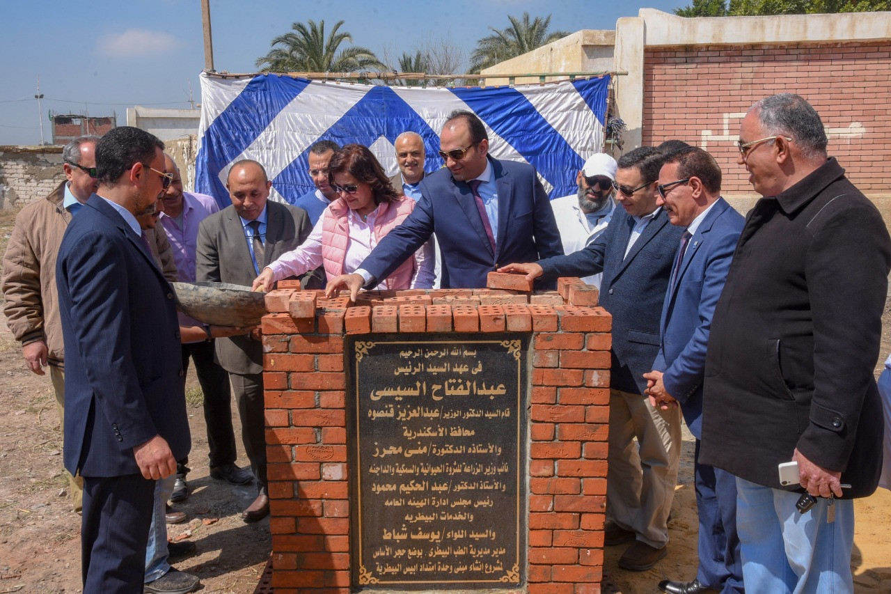 إنشاء وحدة بيطرية بأبيس بالإسكندرية