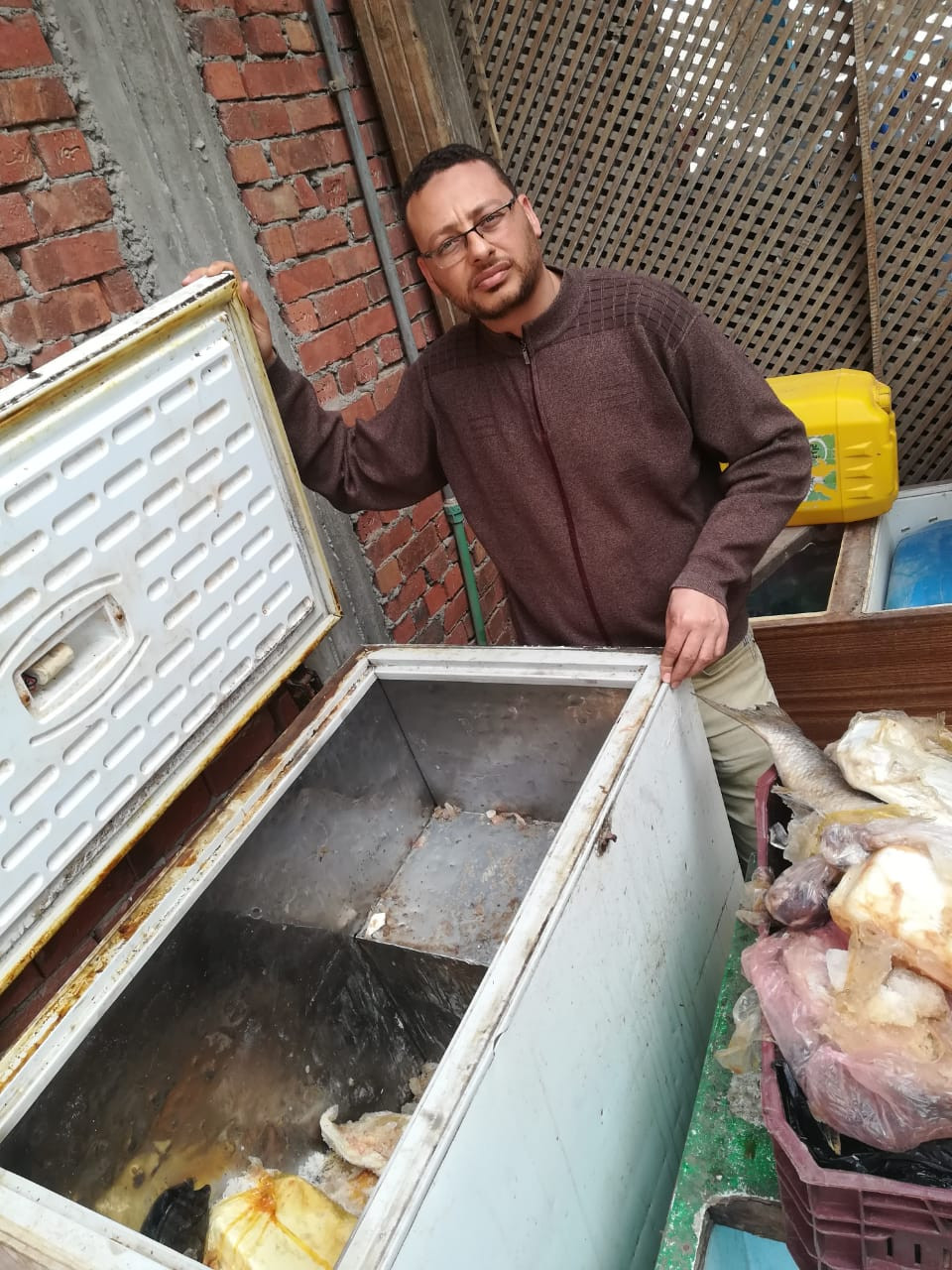 أسماك فاسدة