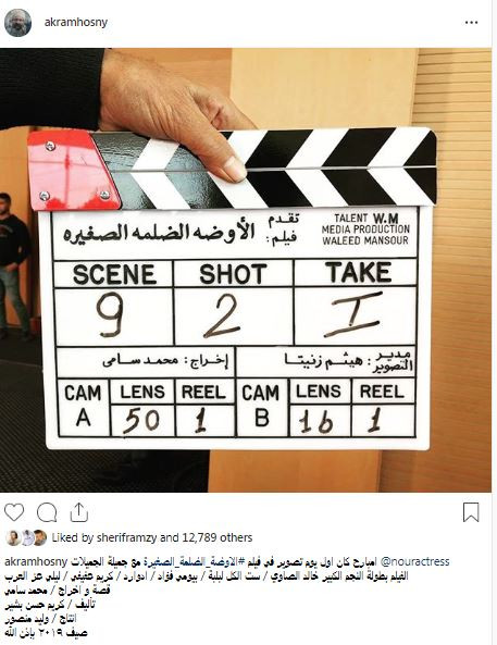 أكرم حسنى