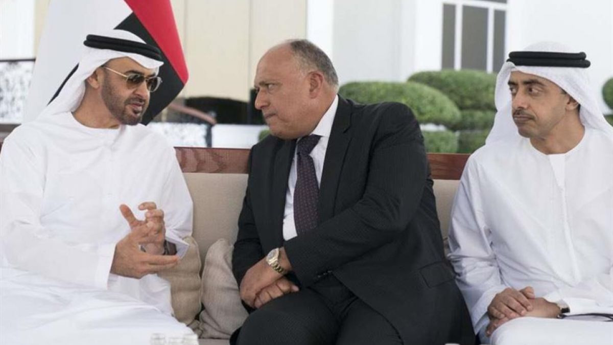 سامح شكرى