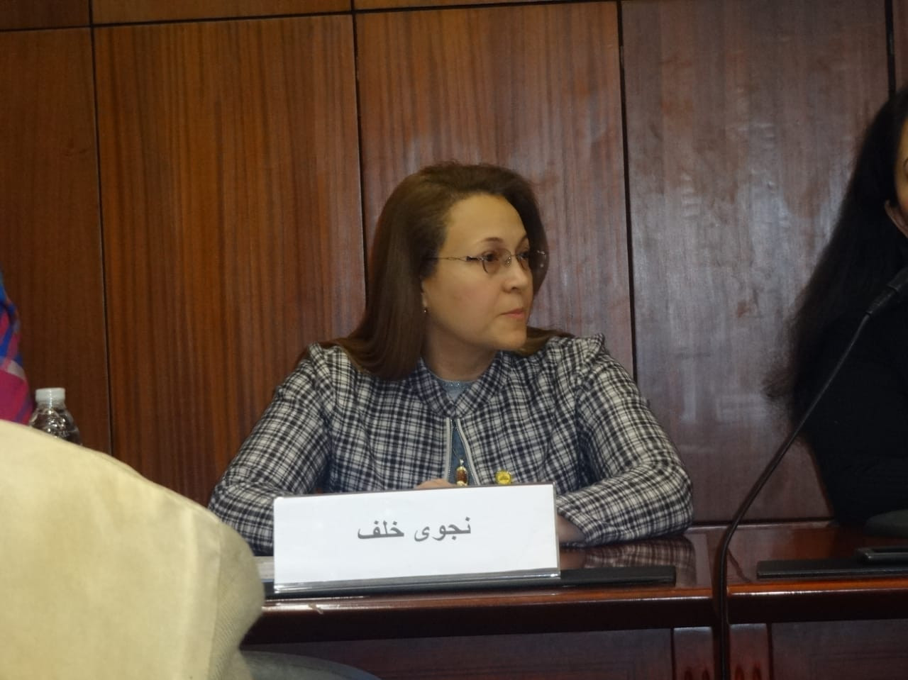المجلس القومى لشؤون الإعاقة