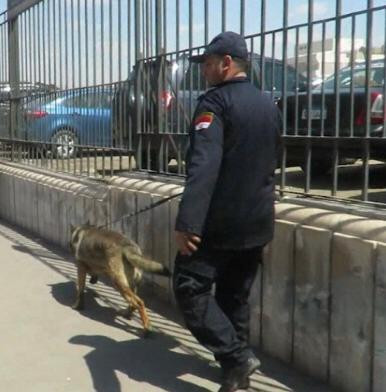 حملات أمنية بمحيط الجامعة