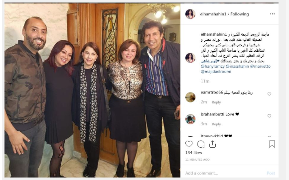 إلهام شاهين