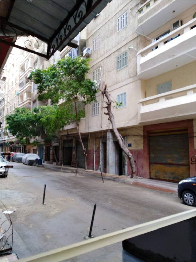 أمطار مفاجئة على الإسكندرية
