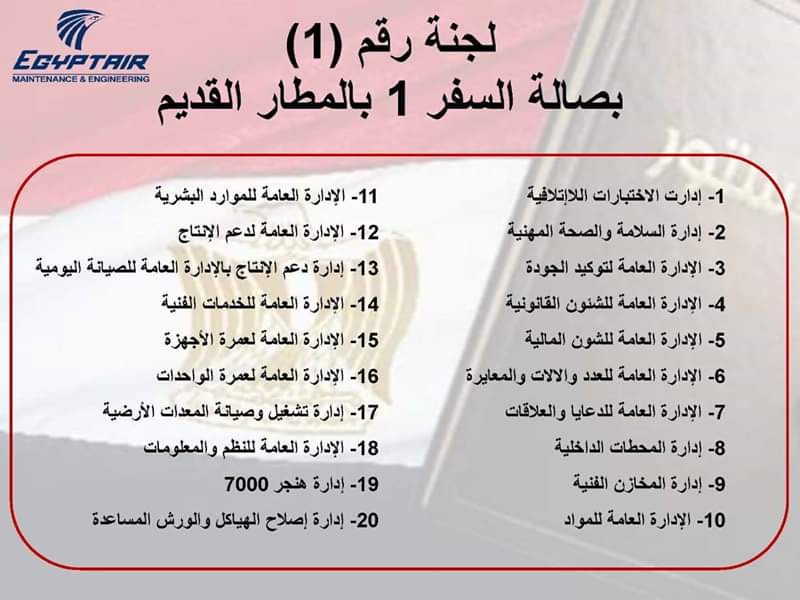 لجان الاستفتاء بمطار القاهرة