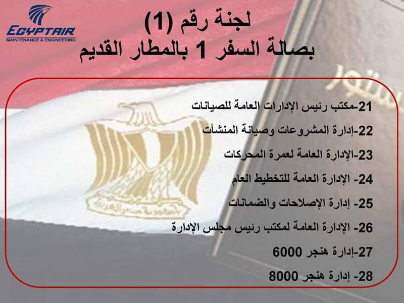 لجان الاستفتاء بمطار القاهرة