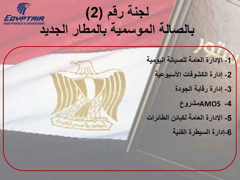 لجان الاستفتاء بمطار القاهرة