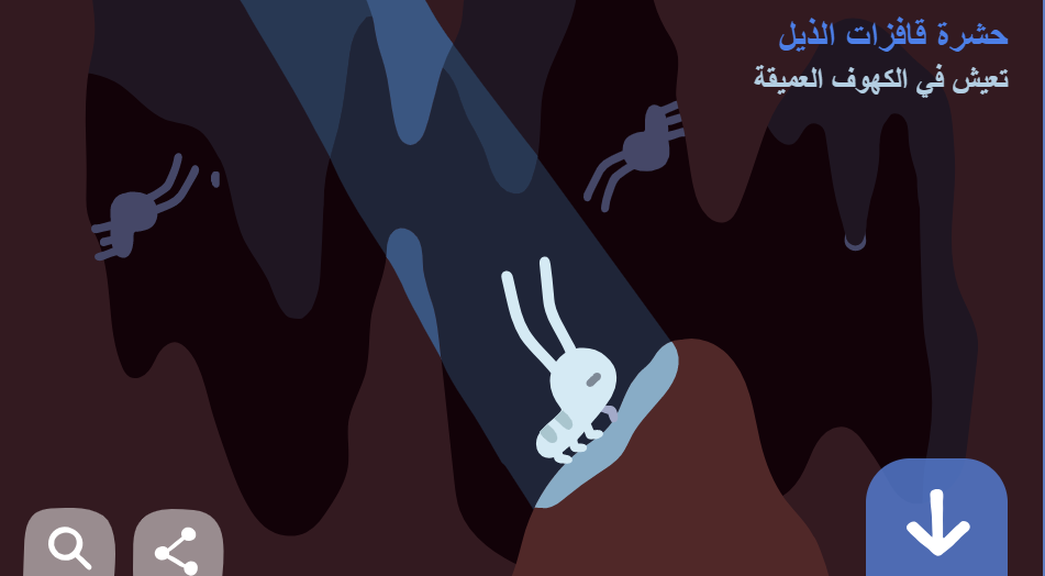 يوم الأرض