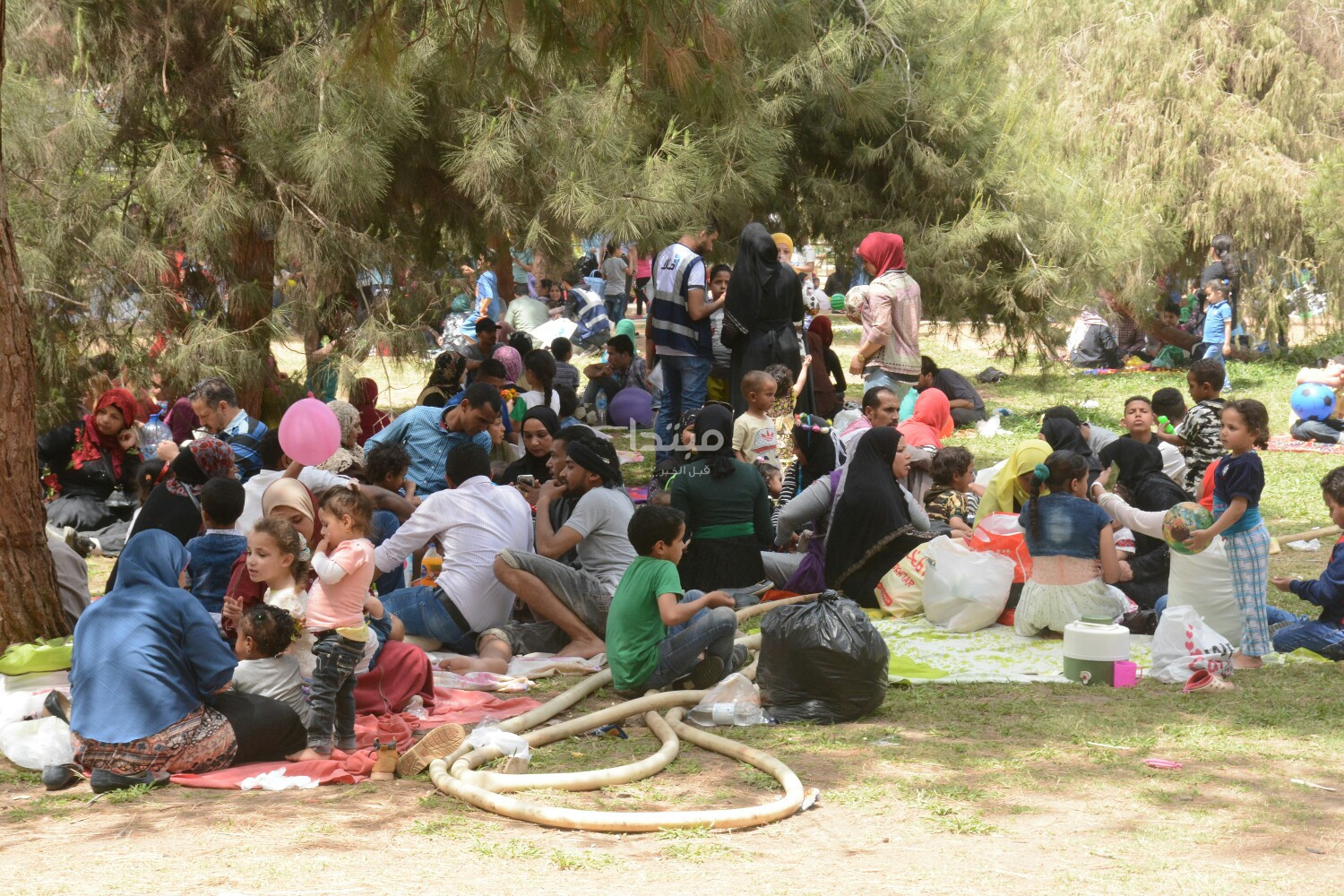 شم النسيم فى حديقة الأورمان.. &laquo;لعب وجد وحب&raquo;