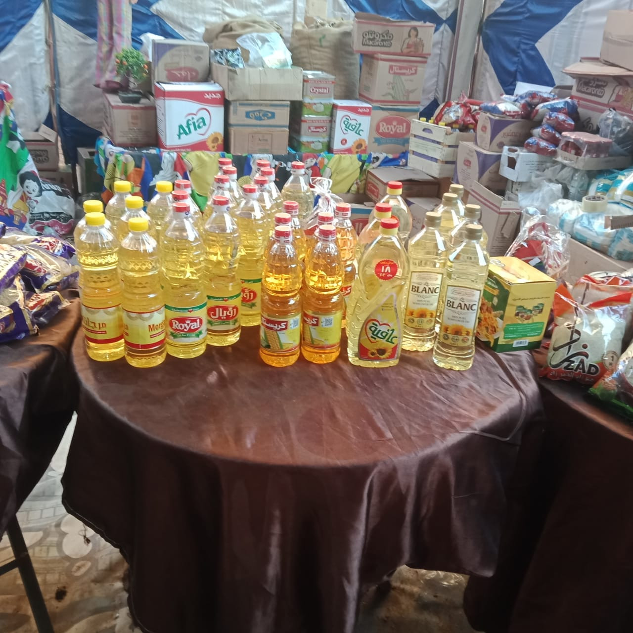 فعاليات حزب مستقبل وطن