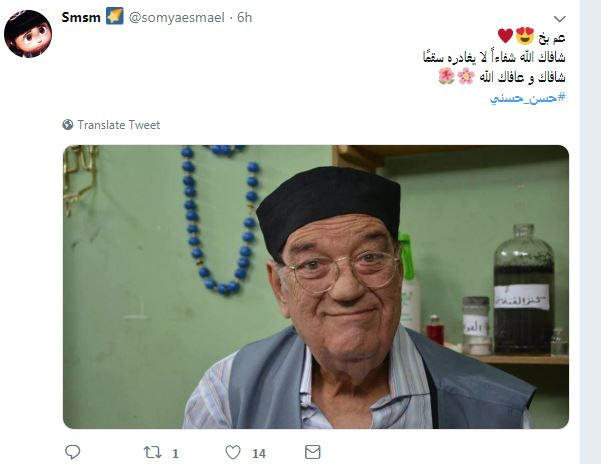 حسن حسنى