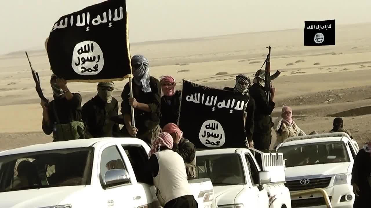 تنظيم ولاية سيناء