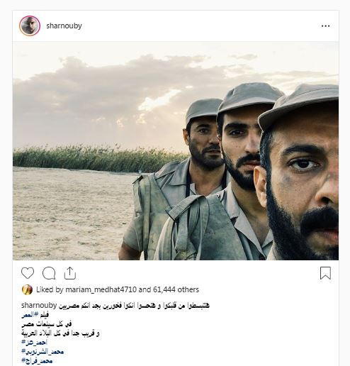 محمد الشرنوبى