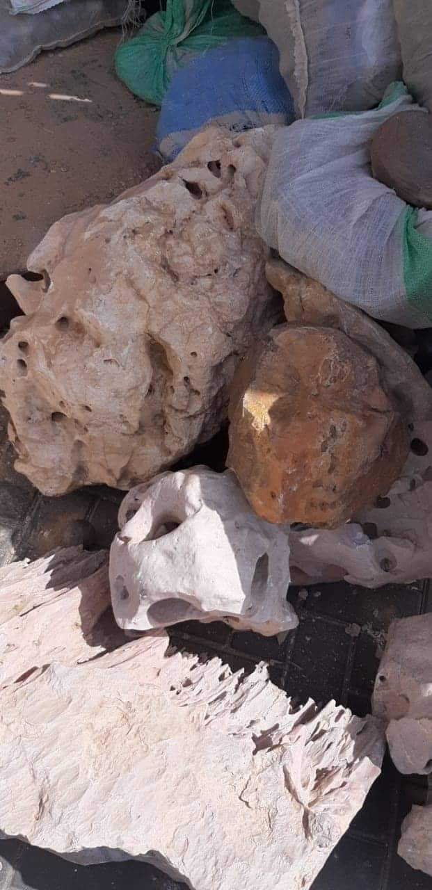 إحباط تهريب كمية من الحفريات الصخرية والبحرية النادرة