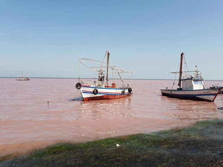 سواحل بحر سيدى منصور بصفاقس