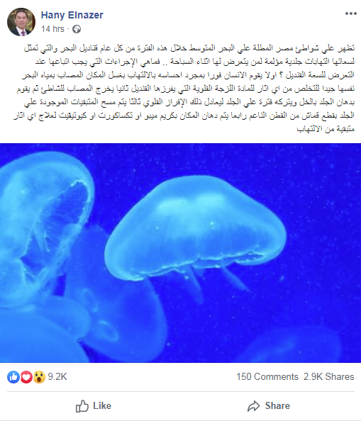هانى الناظر