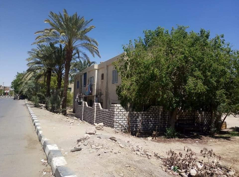الوحدات السكنية بالوادى الجديد