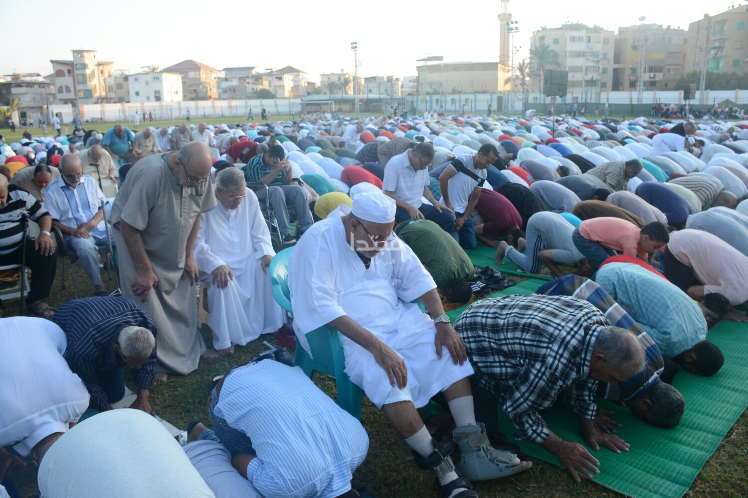صلاة العيد بالمنوفية