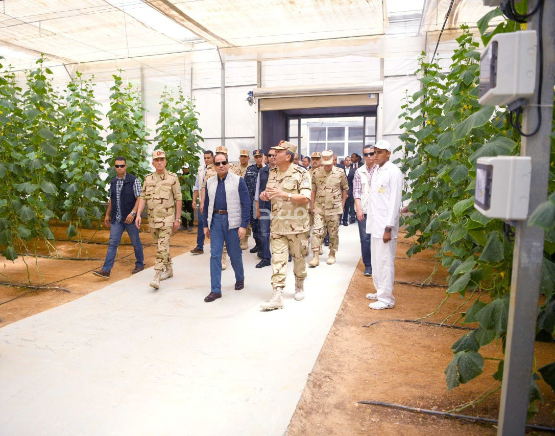 الرئيس السيسى يتفقد الصوب الزراعية الجديدة