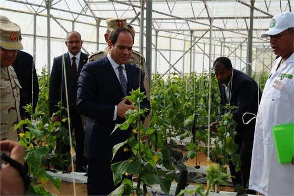 اهتمام الرئيس السيسي بالفلاح