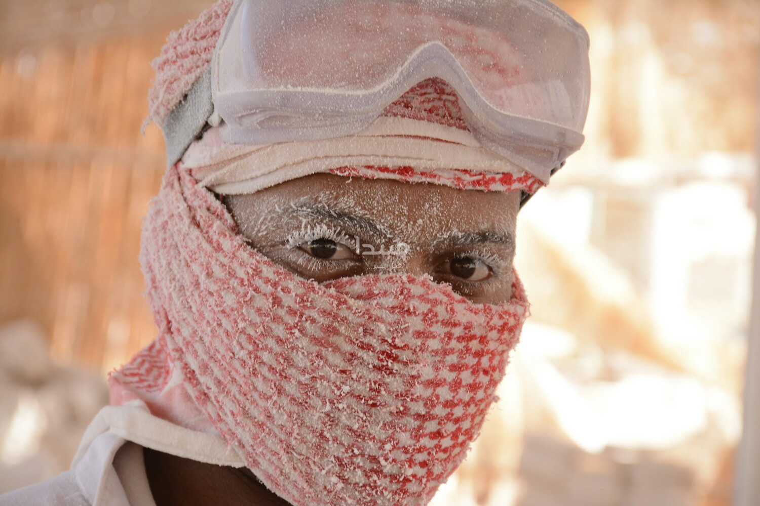 عم عيسى