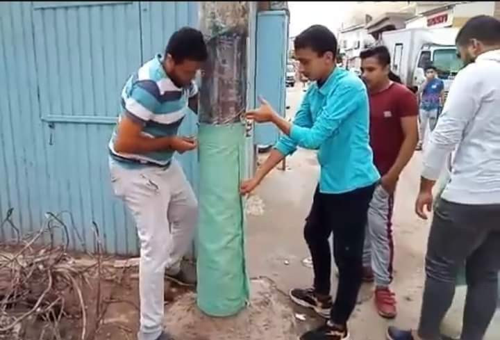 عزل أعمدة الإنارة فى عزبة البرج