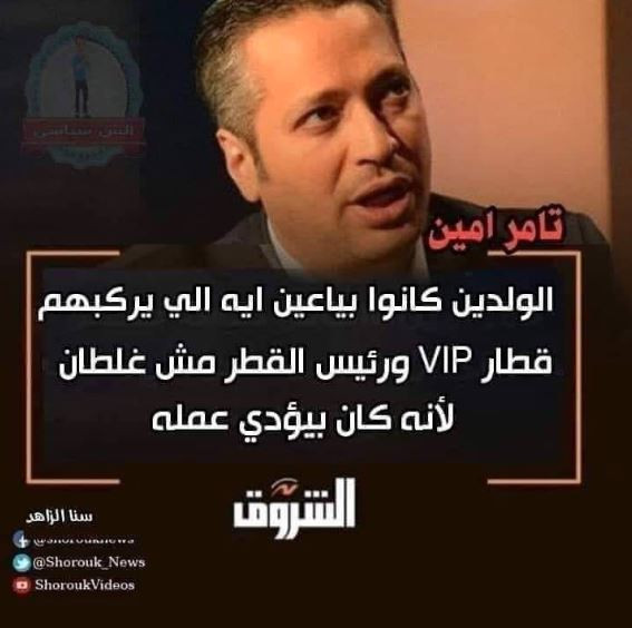 تامر أمين