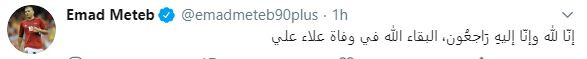 علاء على