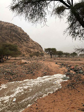 أمطار فى جدة والمدينة
