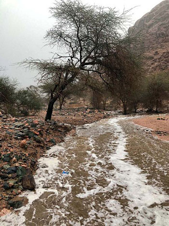 أمطار فى جدة والمدينة