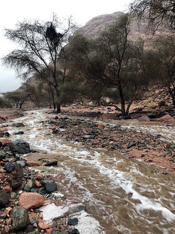 أمطار فى جدة والمدينة