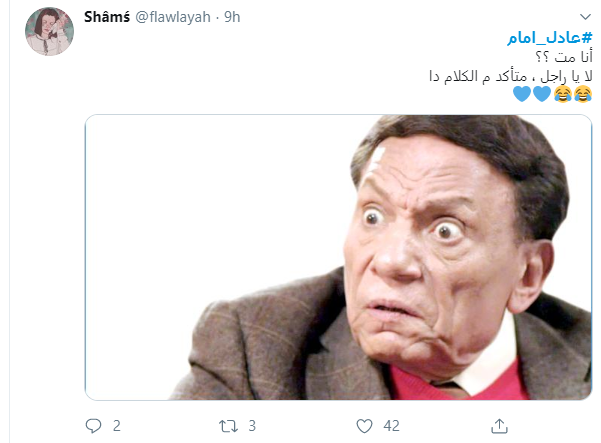 عادل إمام