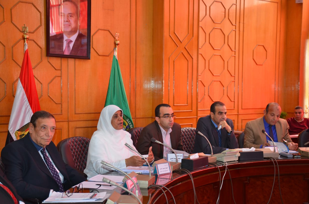 المهندسة نفيسة هاشم