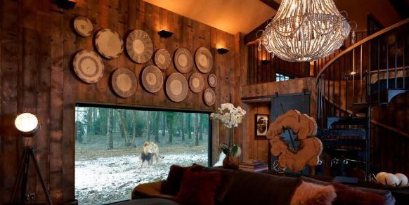 فندق Lion Lodge