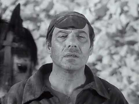 فيلم كلمة شرف